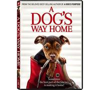A Dog's Way Home [USA] [DVD]
