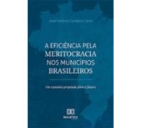 A Eficiência Pela Meritocracia Nos Municípios Brasileiros (ebook)