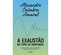 A Exaustão No Topo Da Montanha (ebook)