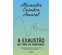 A EXAUSTÃO NO TOPO DA MONTANHA: UMA JORNADA DE RECONEXÃO COM OUTROS RITMOS DA VIDA E COM O QUE É ESS