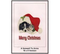 A Farewell To Arms: Widescreen TV. : Tarjeta de felicitación: Feliz Navidad [DVD]