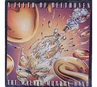 A Fifth of Beethoven