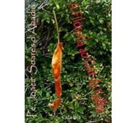 A Filosofia Ao Cair Da Folha (ebook)