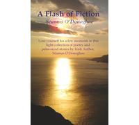 A Flash of Fiction