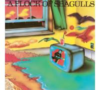 A Flock of Seagulls