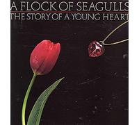 A Flock Of Seagulls - A Flock Of Seagulls The Story Of A Young Heart LP Jive HIP14 EX/EX 1984 with inner