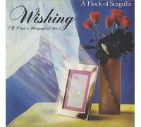 A Flock Of Seagulls - A Flock Of Seagulls Wishing (If I Had A Photograph Of You) 1982 UK 7" vinyl JIVE25