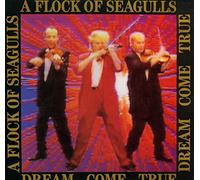 A Flock Of Seagulls - Dream come true (1986) [VINYL]