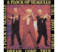 A FLOCK OF SEAGULLS - DREAM COME TRUE LP (VINYL ALBUM) US JIVE 1986