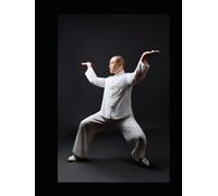 A Flow Like Water: The History, Philosophy, and Living Practice of Taichi with diagram of Yang 24 steps