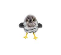 (A) Fluttering Little Fat Cat Interactive Toy To Relieve Boredom Simulated Bird Automatic Cat Teasing StickToConsume Physical Energy