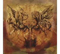 A Forest of Stars - A Shadowplay for Yesterdays [Vinilo]