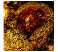 A forest of stars - Beware the sword you cannot see [Vinilo]