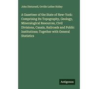 A Gazetteer of the State of New-York: Comprising Its Topography, Geology, Mineralogical Resources, Civil Divisions, Canals, Railroads and Public Institutions; Together with General Statistics
