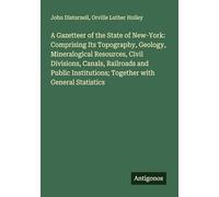 A Gazetteer of the State of New-York: Comprising Its Topography, Geology, Mineralogical Resources, Civil Divisions, Canals, Railroads and Public Institutions; Together with General Statistics