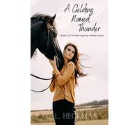 A Gelding Named Thunder: Book 1 of The Morning Star Stables series