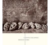 A Gentle Collapsing [Vinilo]