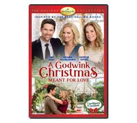 A Godwink Christmas: Meant for Love [USA] [DVD]