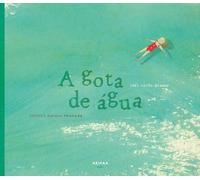 A gota de água: Segundo Raimon Panikkar: 2 (Akialbum)