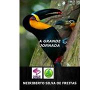 A Grande Jornada De Azul E Amarelo (ebook)