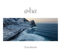 a-ha True North (Vinyl) 12" Album (Gatefold Cover) (Importación USA)
