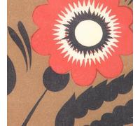 A Hawk & a Hacksaw - A Hawk and a Hacksaw