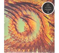 A Hawk and a Hacksaw - Forest Bathing [Vinilo]