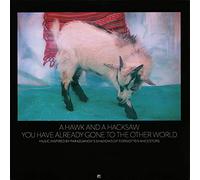 A Hawk and a Hacksaw - You Have Already Gone to the Other World [Vinilo]