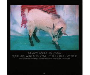 A Hawk and a Hacksaw - You Have Already Gone to the Other World [Vinilo]