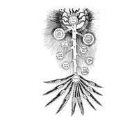 A Hermetic Gospel: Corpus Hermeticum, Kybalion, and The Lesser Key of Solomon