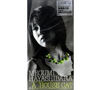 A HOUSE CAT
