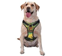 A Huge Arch - Arnés de alta calidad para perros pequeños, medianos y grandes, duradero, sin tirones, con correas reflectantes y hebillas de liberación rápida, grande