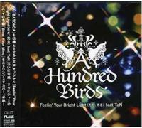A Hundred Birds - Feelin' Your Bright Light
