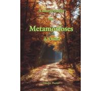 A interpretação das Metamorfoses de Ovídio