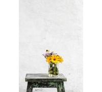 A Jornada Do Escritor Continua... (ebook)