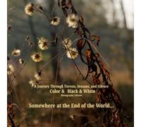 A Journey Through Forests, Seasons, and Silence: Color & Black & White Photography Edition