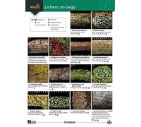 A Key to Lichens on Twigs (Occasional Publications S.)