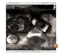 A l Agite du Bocal/un Caillou Dans la Chaussure