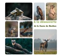 À la découverte de la faune du Québec