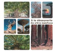 À la découverte des arbres majestueux