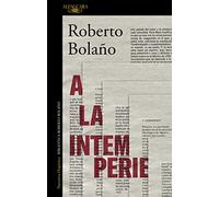 A la intemperie: Colaboraciones periodísticas, intervenciones públicas y ensayos (Hispánica)