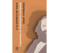 A la sombra de Marx: Fragmentos de materialismo accidental: 8 (Ágora/Teoría)