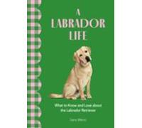 A Labrador Life