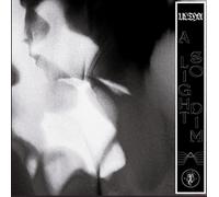 A Light So Dim [Vinilo]