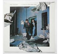 A Little On The Windy Side [LP]