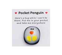 A Little Pocket Penguin Hug, Mini Animal Pocket Hug Penguin, Cute Pocket Penguin Hug, Animal Hug, Penguin Hug, Penguin Pocket Keepsake Ornament Cute Animal Gift with Greeting Cards