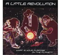 A Little Revolution - What Is Your Purpose on the Planet?