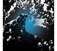 A Living Commodity (Vinilo)