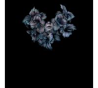 A Lot Like Birds Divisi (CD) (Importación USA)