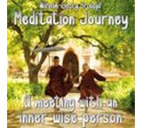 A Meeting With An Inner Wise Person (audiolibro)